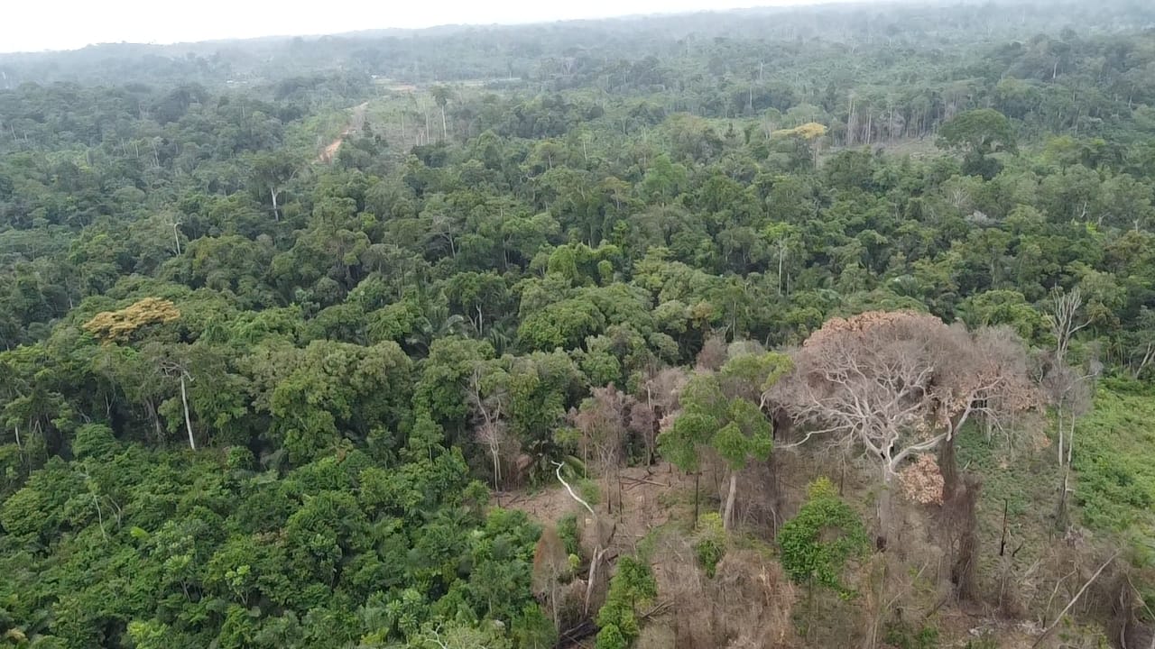 kribi londji
