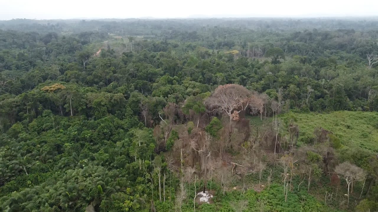 kribi londji