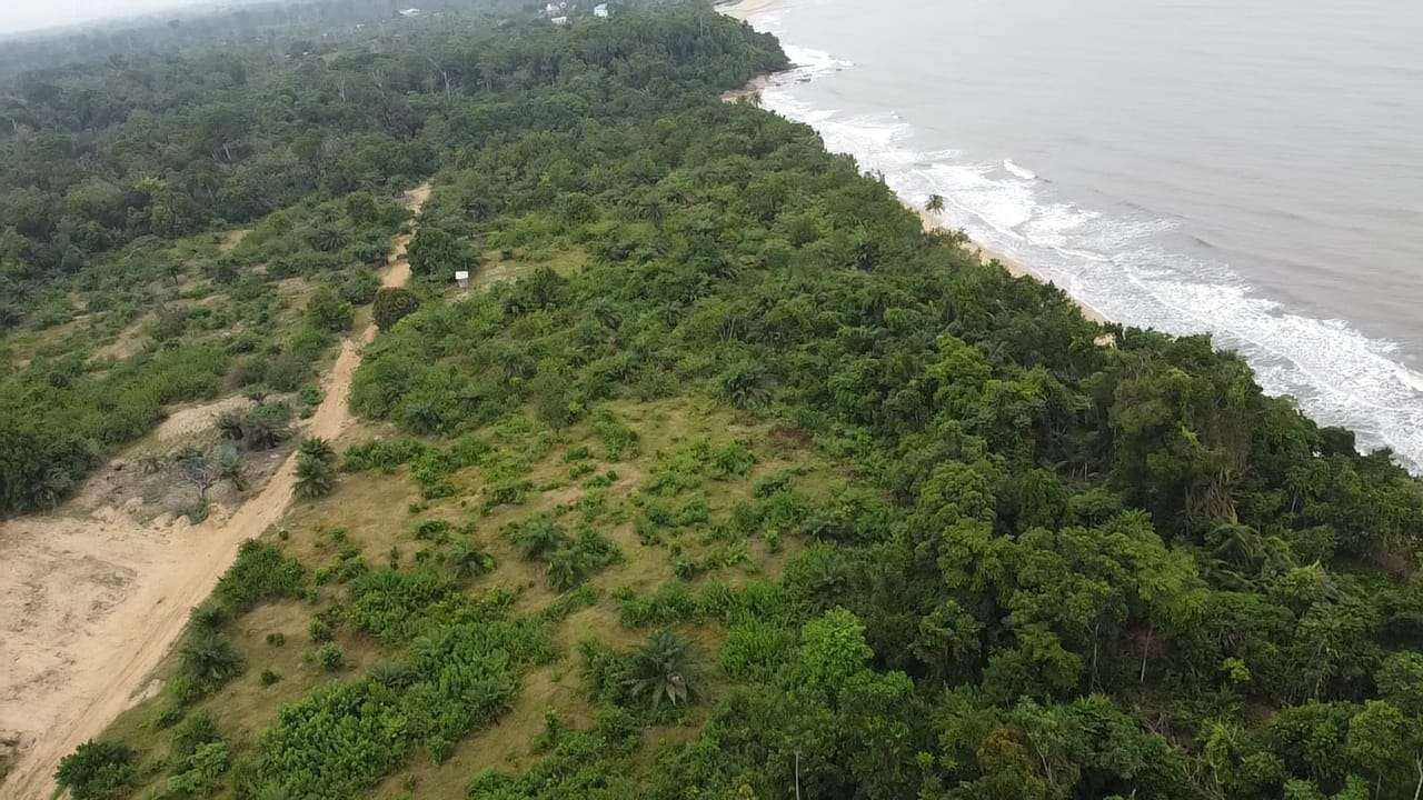 kribi londji